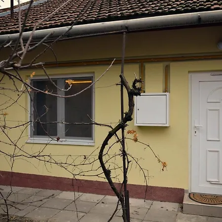 Cozy Little Tisza Flat Appartamento *